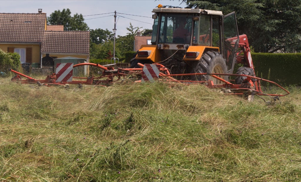 Francis Fenaison « Club photo La Ferté
